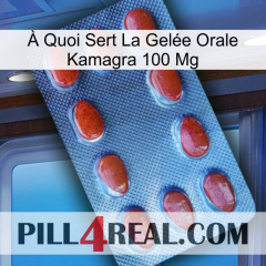 À Quoi Sert La Gelée Orale Kamagra 100 Mg 06